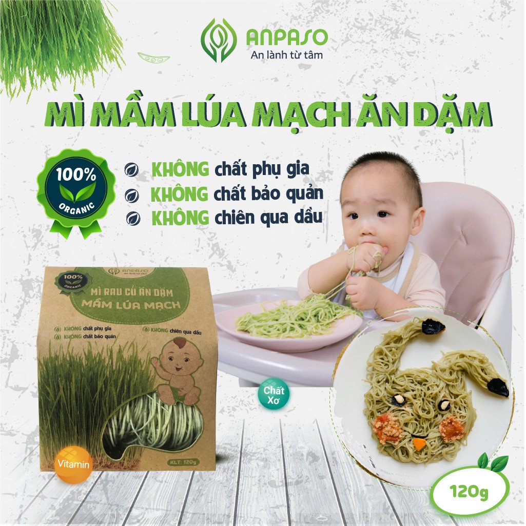 Mì Mầm Lúa Mạch Ăn Dặm 120g